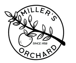 Syrcause_local_restaurant